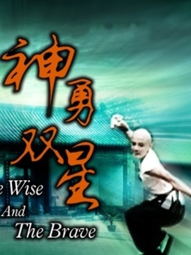 神勇双星_剧情介绍_凌云猜谜语