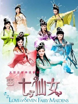 天地姻缘七仙女_剧情介绍_凌云猜谜语