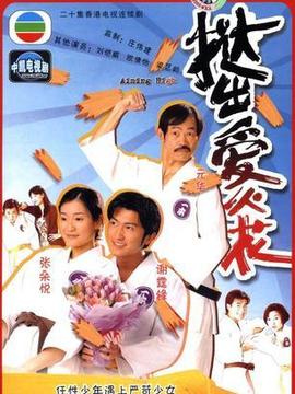挞出爱火花_剧情介绍_凌云猜谜语