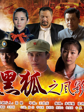 黑狐之风影_剧情介绍_凌云猜谜语