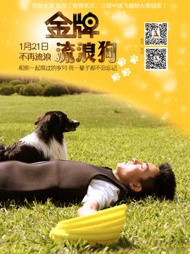 金牌流浪狗_剧情介绍_凌云猜谜语