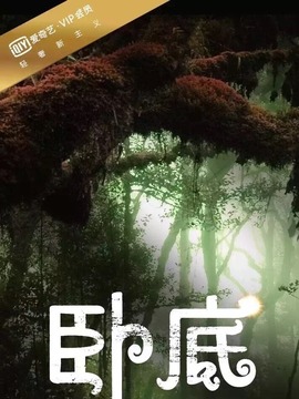 卧底第一季_剧情介绍_凌云猜谜语