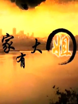 家有大姐_剧情介绍_凌云猜谜语