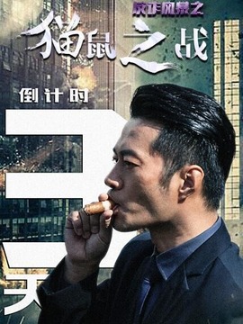反诈风暴之猫鼠之战_剧情介绍_凌云猜谜语