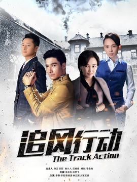 追风行动_剧情介绍_凌云猜谜语