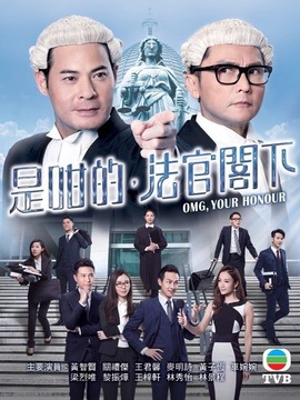是咁的，法官阁下_剧情介绍_凌云猜谜语