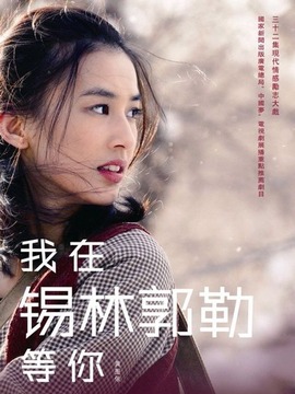 我在锡林郭勒等你_剧情介绍_凌云猜谜语