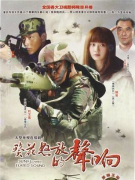 野狼突击队_剧情介绍_凌云猜谜语